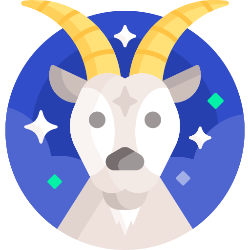 Capricorn zodiac sign